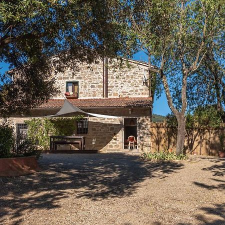 Poggio Al Mandorlo Villa Greve in Chianti Buitenkant foto