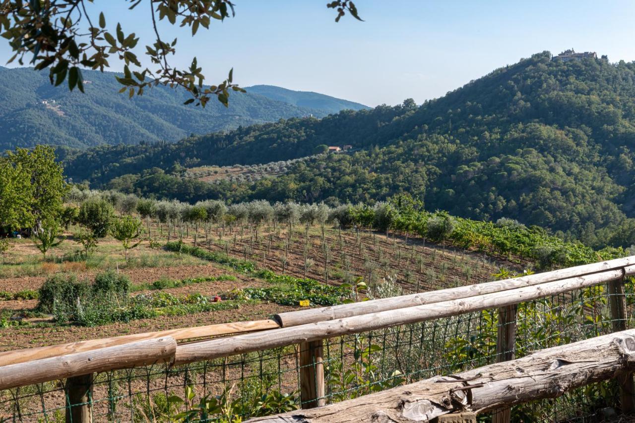 Poggio Al Mandorlo Villa Greve in Chianti Buitenkant foto